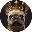 teo_slots